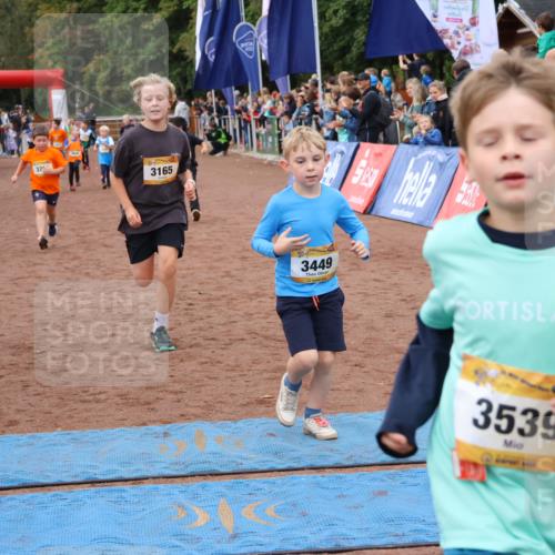 14.09.2025 - Airport Race Strokosch-Dieckow http://msf.ph/oto/8880644 14.09.2025 10:10:20 Ziel 3054, 3165, 3174, 3184, 3372, 3449, 3524, 3539, 3577, 3705 meine-sportfotos.de