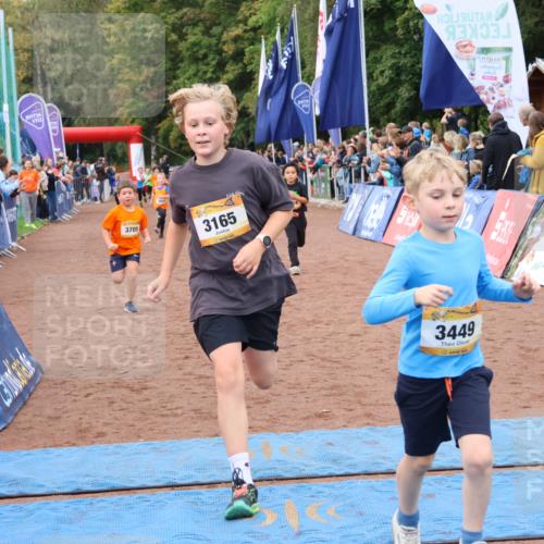 14.09.2025 - Airport Race Strokosch-Dieckow http://msf.ph/oto/8880655 14.09.2025 10:10:21 Ziel 3054, 3165, 3174, 3372, 3449, 3524, 3539, 3544, 3577, 3705 meine-sportfotos.de