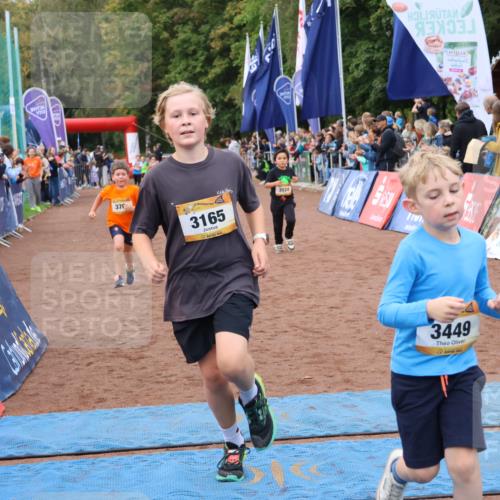 14.09.2025 - Airport Race Strokosch-Dieckow http://msf.ph/oto/8880665 14.09.2025 10:10:21 Ziel 3054, 3165, 3174, 3372, 3449, 3524, 3539, 3544, 3577, 3705 meine-sportfotos.de