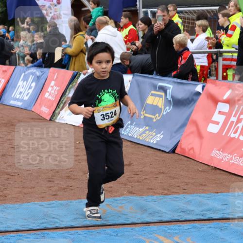 14.09.2025 - Airport Race Strokosch-Dieckow http://msf.ph/oto/8880699 14.09.2025 10:10:25 Ziel 3165, 3372, 3435, 3449, 3524, 3544, 3705 meine-sportfotos.de