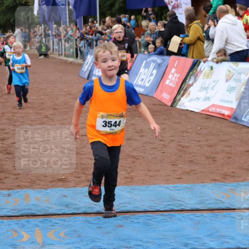 14.09.2025 - Airport Race Strokosch-Dieckow http://msf.ph/oto/8880758 14.09.2025 10:10:29 Ziel 3036, 3372, 3435, 3524, 3544, 3548 meine-sportfotos.de