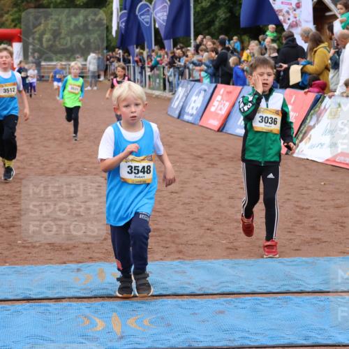 14.09.2025 - Airport Race Strokosch-Dieckow http://msf.ph/oto/8880788 14.09.2025 10:10:35 Ziel 3036, 3299, 3435, 3512, 3531, 3548 meine-sportfotos.de