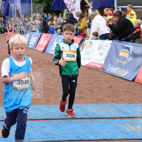 14.09.2025 - Airport Race Strokosch-Dieckow http://msf.ph/oto/8880820 14.09.2025 10:10:35 Ziel 3036, 3299, 3435, 3512, 3531, 3548 meine-sportfotos.de