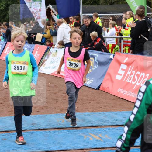 14.09.2025 - Airport Race Strokosch-Dieckow http://msf.ph/oto/8880868 14.09.2025 10:10:39 Ziel 3036, 3299, 3410, 3440, 3512, 3531, 3548, 3595 meine-sportfotos.de