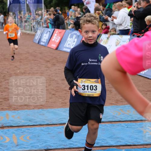 14.09.2025 - Airport Race Strokosch-Dieckow http://msf.ph/oto/8880991 14.09.2025 10:11:02 Ziel 3103, 3171, 3223, 3237, 3429, 3442, 3596, 3734 meine-sportfotos.de