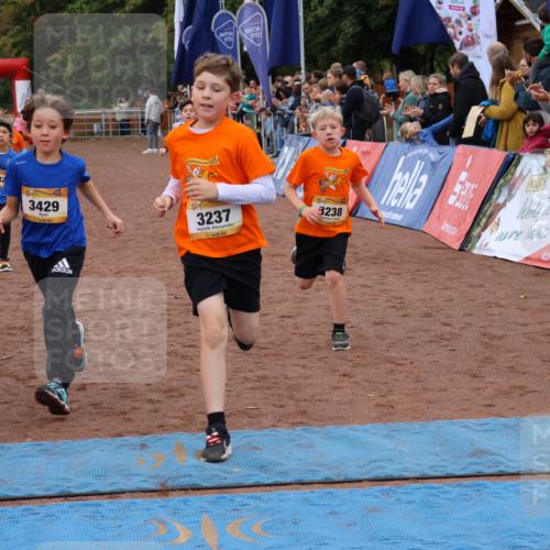 14.09.2025 - Airport Race Strokosch-Dieckow http://msf.ph/oto/8881016 14.09.2025 10:11:04 Ziel 3103, 3171, 3223, 3237, 3429, 3442, 3734 meine-sportfotos.de