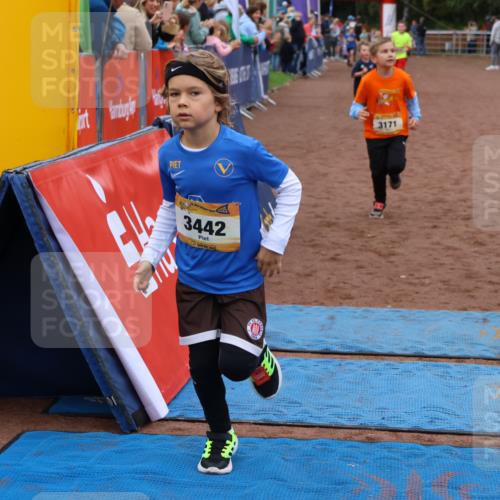 14.09.2025 - Airport Race Strokosch-Dieckow http://msf.ph/oto/8881055 14.09.2025 10:11:08 Ziel 3041, 3171, 3237, 3429, 3442, 3734 meine-sportfotos.de