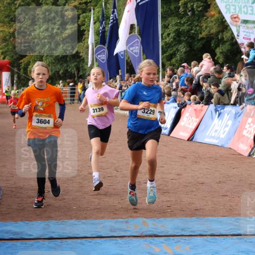 14.09.2025 - Airport Race Strokosch-Dieckow http://msf.ph/oto/8881344 14.09.2025 10:27:39 Ziel 3029, 3139, 3229, 3604, 3708, 3726 meine-sportfotos.de