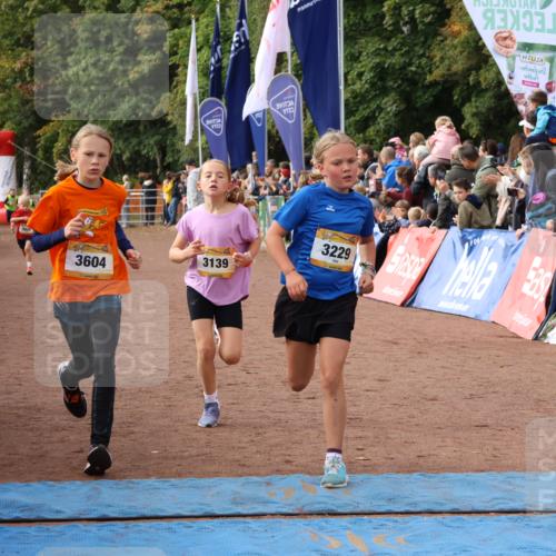 14.09.2025 - Airport Race Strokosch-Dieckow http://msf.ph/oto/8881354 14.09.2025 10:27:39 Ziel 3029, 3139, 3229, 3604, 3708, 3726 meine-sportfotos.de