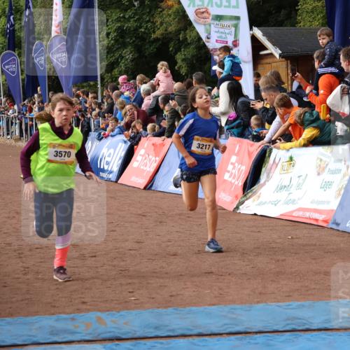 14.09.2025 - Airport Race Strokosch-Dieckow http://msf.ph/oto/8881578 14.09.2025 10:27:55 Ziel 3159, 3217, 3570, 3574 meine-sportfotos.de