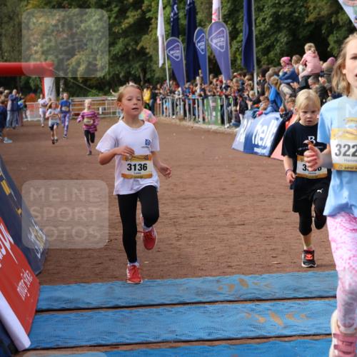 14.09.2025 - Airport Race Strokosch-Dieckow http://msf.ph/oto/8881818 14.09.2025 10:28:05 Ziel 3133, 3136, 3159, 3160, 3226, 3384, 3386, 3497 meine-sportfotos.de