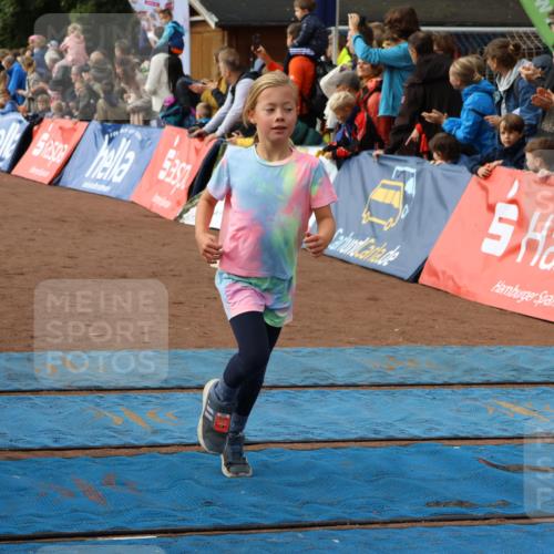 14.09.2025 - Airport Race Strokosch-Dieckow http://msf.ph/oto/8881860 14.09.2025 10:28:08 Ziel 3133, 3136, 3159, 3160, 3226, 3384, 3386, 3497 meine-sportfotos.de