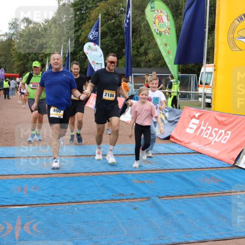 14.09.2025 - Airport Race Strokosch-Dieckow http://msf.ph/oto/8881907 14.09.2025 12:43:32 Ziel 203, 210, 460, 561, 604, 1277, 1561, 1723, 2182, 2186 meine-sportfotos.de