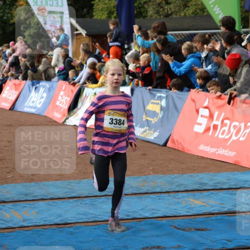 14.09.2025 - Airport Race Strokosch-Dieckow http://msf.ph/oto/8881931 14.09.2025 10:28:11 Ziel 3035, 3133, 3160, 3384, 3497 meine-sportfotos.de