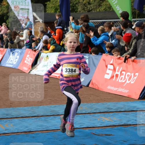 14.09.2025 - Airport Race Strokosch-Dieckow http://msf.ph/oto/8881959 14.09.2025 10:28:11 Ziel 3035, 3133, 3160, 3384, 3497 meine-sportfotos.de