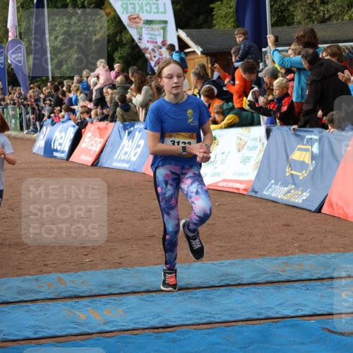 14.09.2025 - Airport Race Strokosch-Dieckow http://msf.ph/oto/8882001 14.09.2025 10:28:13 Ziel 3035, 3133, 3381, 3384, 3497 meine-sportfotos.de