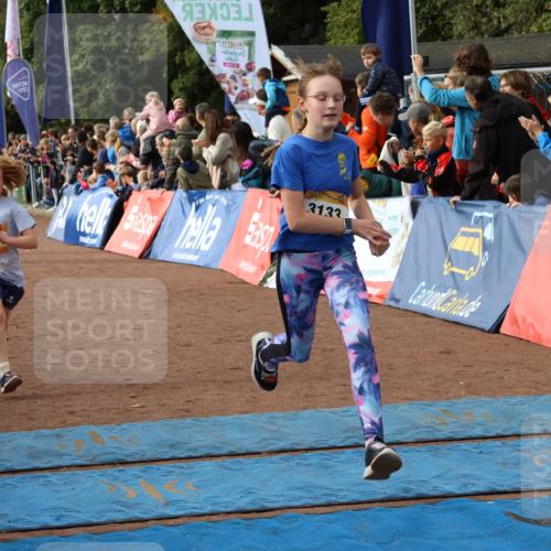 14.09.2025 - Airport Race Strokosch-Dieckow http://msf.ph/oto/8882067 14.09.2025 10:28:13 Ziel 3035, 3133, 3381, 3384, 3497 meine-sportfotos.de