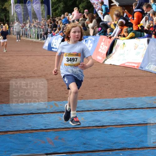 14.09.2025 - Airport Race Strokosch-Dieckow http://msf.ph/oto/8882104 14.09.2025 10:28:14 Ziel 3035, 3133, 3381, 3384, 3497 meine-sportfotos.de