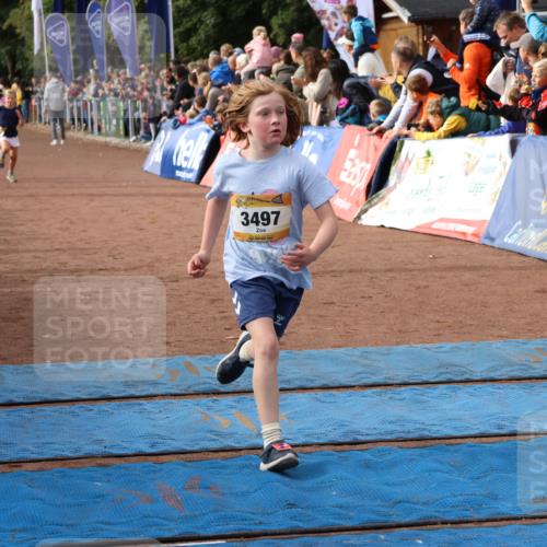 14.09.2025 - Airport Race Strokosch-Dieckow http://msf.ph/oto/8882138 14.09.2025 10:28:14 Ziel 3035, 3133, 3381, 3384, 3497 meine-sportfotos.de