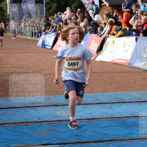 14.09.2025 - Airport Race Strokosch-Dieckow http://msf.ph/oto/8882156 14.09.2025 10:28:15 Ziel 3035, 3133, 3253, 3330, 3381, 3384, 3497, 3569 meine-sportfotos.de