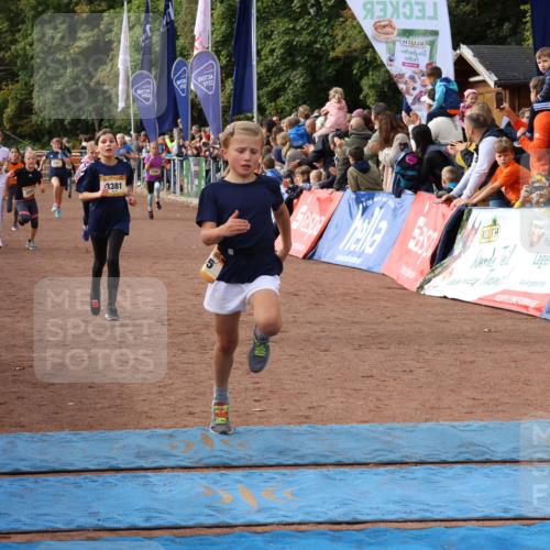 14.09.2025 - Airport Race Strokosch-Dieckow http://msf.ph/oto/8882177 14.09.2025 10:28:19 Ziel 3033, 3035, 3098, 3127, 3169, 3218, 3227, 3253, 3330, 3381, 3388, 3461, 3556, 3569, 5094 meine-sportfotos.de