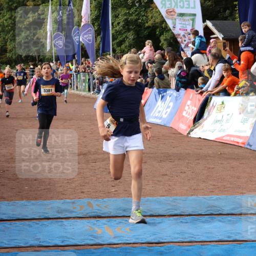 14.09.2025 - Airport Race Strokosch-Dieckow http://msf.ph/oto/8882240 14.09.2025 10:28:19 Ziel 3033, 3035, 3098, 3127, 3169, 3218, 3227, 3253, 3330, 3381, 3388, 3461, 3556, 3569, 5094 meine-sportfotos.de