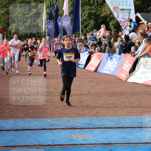 14.09.2025 - Airport Race Strokosch-Dieckow http://msf.ph/oto/8882257 14.09.2025 10:28:20 Ziel 3033, 3035, 3098, 3127, 3169, 3218, 3227, 3253, 3330, 3381, 3388, 3461, 3556, 3569, 5094 meine-sportfotos.de