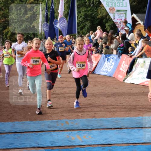 14.09.2025 - Airport Race Strokosch-Dieckow http://msf.ph/oto/8882357 14.09.2025 10:28:23 Ziel 3033, 3035, 3098, 3127, 3142, 3169, 3218, 3227, 3253, 3330, 3381, 3388, 3394, 3461, 3466, 3468, 3473, 3556, 3569, 3579, 5094 meine-sportfotos.de