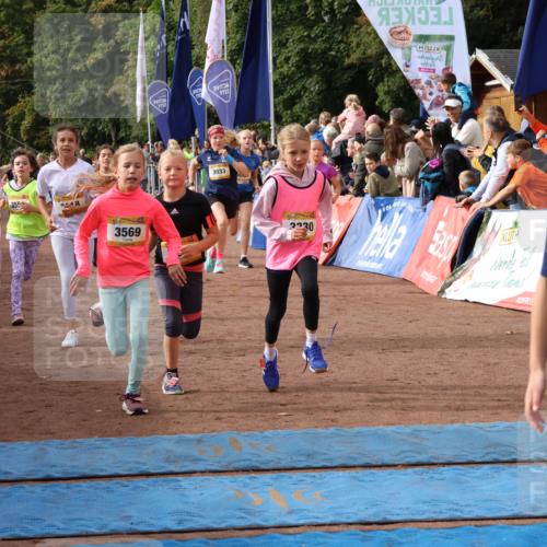 14.09.2025 - Airport Race Strokosch-Dieckow http://msf.ph/oto/8882380 14.09.2025 10:28:23 Ziel 3033, 3035, 3098, 3127, 3142, 3169, 3218, 3227, 3253, 3330, 3381, 3388, 3394, 3461, 3466, 3468, 3473, 3556, 3569, 3579, 5094 meine-sportfotos.de