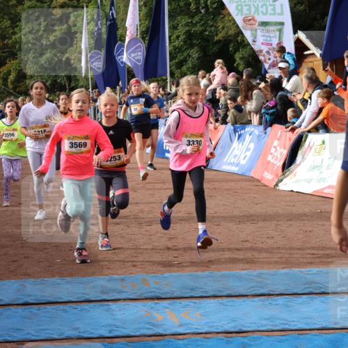 14.09.2025 - Airport Race Strokosch-Dieckow http://msf.ph/oto/8882398 14.09.2025 10:28:23 Ziel 3033, 3035, 3098, 3127, 3142, 3169, 3218, 3227, 3253, 3330, 3381, 3388, 3394, 3461, 3466, 3468, 3473, 3556, 3569, 3579, 5094 meine-sportfotos.de