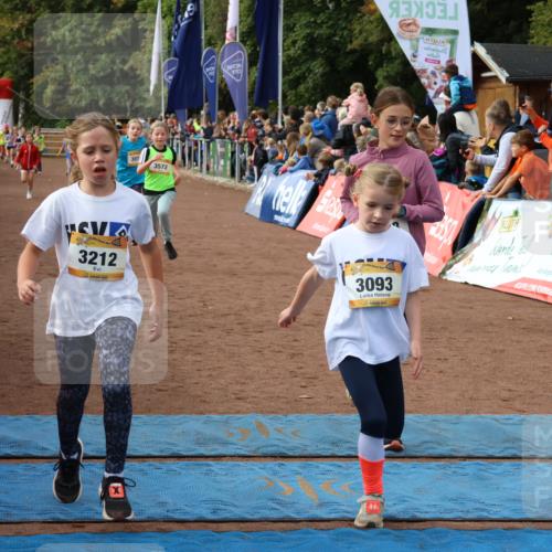 14.09.2025 - Airport Race Strokosch-Dieckow http://msf.ph/oto/8882564 14.09.2025 10:28:34 Ziel 3071, 3081, 3093, 3142, 3212, 3228, 3394, 3466, 3468, 3473, 3489, 3572, 3579, 3608 meine-sportfotos.de