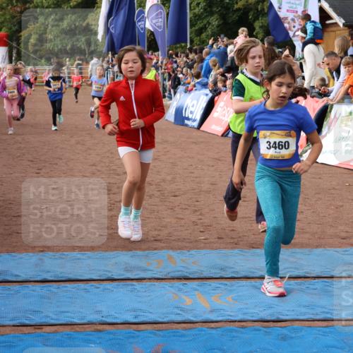 14.09.2025 - Airport Race Strokosch-Dieckow http://msf.ph/oto/8883137 14.09.2025 10:28:45 Ziel 3081, 3228, 3393, 3456, 3457, 3458, 3460, 3471, 3488, 3489, 3559, 3563, 3578 meine-sportfotos.de