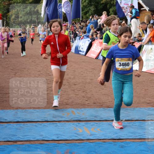 14.09.2025 - Airport Race Strokosch-Dieckow http://msf.ph/oto/8883186 14.09.2025 10:28:45 Ziel 3081, 3228, 3393, 3456, 3457, 3458, 3460, 3471, 3488, 3489, 3559, 3563, 3578 meine-sportfotos.de