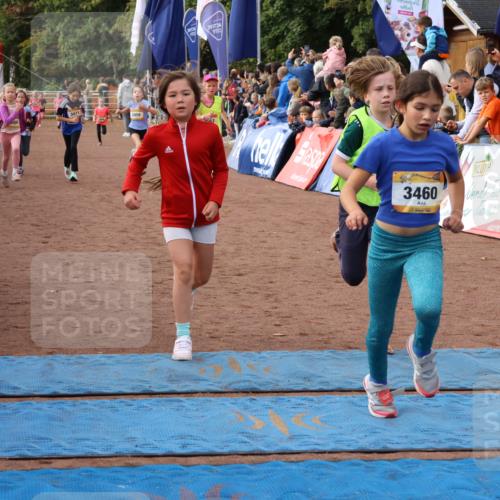 14.09.2025 - Airport Race Strokosch-Dieckow http://msf.ph/oto/8883213 14.09.2025 10:28:45 Ziel 3081, 3228, 3393, 3456, 3457, 3458, 3460, 3471, 3488, 3489, 3559, 3563, 3578 meine-sportfotos.de