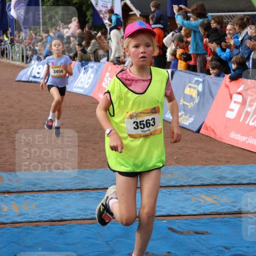 14.09.2025 - Airport Race Strokosch-Dieckow http://msf.ph/oto/8883335 14.09.2025 10:28:49 Ziel 3025, 3051, 3326, 3393, 3457, 3458, 3460, 3471, 3488, 3563, 3578, 3606 meine-sportfotos.de