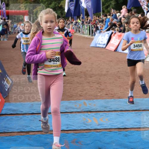 14.09.2025 - Airport Race Strokosch-Dieckow http://msf.ph/oto/8883363 14.09.2025 10:28:50 Ziel 3025, 3051, 3326, 3393, 3458, 3460, 3471, 3488, 3563, 3578, 3606 meine-sportfotos.de