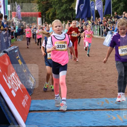 14.09.2025 - Airport Race Strokosch-Dieckow http://msf.ph/oto/8883653 14.09.2025 10:28:57 Ziel 3025, 3051, 3052, 3062, 3202, 3263, 3326, 3329, 3331, 3341, 3352, 3387, 3471, 3575, 3580, 3581, 3606, 3722, 3724 meine-sportfotos.de