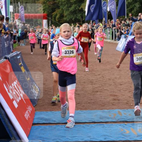 14.09.2025 - Airport Race Strokosch-Dieckow http://msf.ph/oto/8883691 14.09.2025 10:28:57 Ziel 3025, 3051, 3052, 3062, 3202, 3263, 3326, 3329, 3331, 3341, 3352, 3387, 3471, 3575, 3580, 3581, 3606, 3722, 3724 meine-sportfotos.de