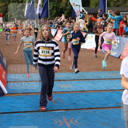 14.09.2025 - Airport Race Strokosch-Dieckow http://msf.ph/oto/8884122 14.09.2025 10:29:09 Ziel 3027, 3058, 3066, 3097, 3114, 3116, 3118, 3128, 3152, 3201, 3202, 3214, 3221, 3231, 3235, 3462, 3472, 3475, 3479, 3490, 3554, 3562, 3589, 3724 meine-sportfotos.de