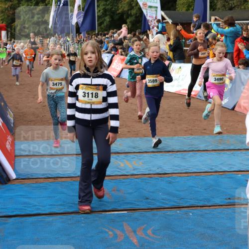 14.09.2025 - Airport Race Strokosch-Dieckow http://msf.ph/oto/8884182 14.09.2025 10:29:09 Ziel 3027, 3058, 3066, 3097, 3114, 3116, 3118, 3128, 3152, 3201, 3202, 3214, 3221, 3231, 3235, 3462, 3472, 3475, 3479, 3490, 3554, 3562, 3589, 3724 meine-sportfotos.de