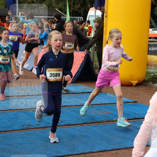 14.09.2025 - Airport Race Strokosch-Dieckow http://msf.ph/oto/8884285 14.09.2025 10:29:10 Ziel 3027, 3058, 3064, 3066, 3097, 3114, 3116, 3118, 3128, 3152, 3201, 3202, 3214, 3221, 3231, 3235, 3462, 3472, 3475, 3479, 3490, 3554, 3562, 3589, 3724, 3733 meine-sportfotos.de