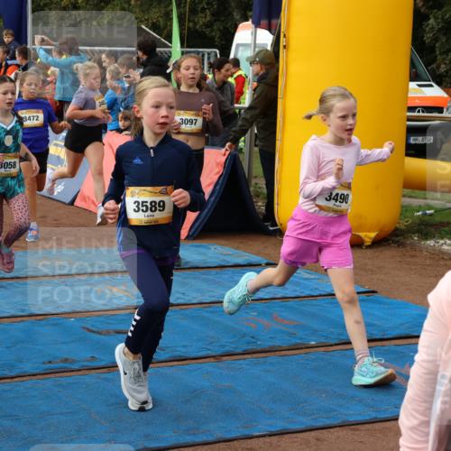 14.09.2025 - Airport Race Strokosch-Dieckow http://msf.ph/oto/8884341 14.09.2025 10:29:10 Ziel 3027, 3058, 3064, 3066, 3097, 3114, 3116, 3118, 3128, 3152, 3201, 3202, 3214, 3221, 3231, 3235, 3462, 3472, 3475, 3479, 3490, 3554, 3562, 3589, 3724, 3733 meine-sportfotos.de