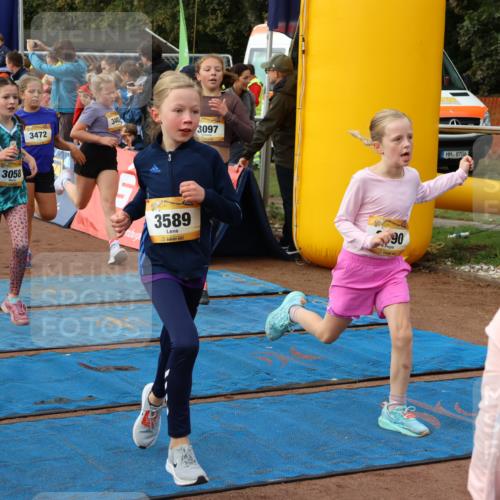 14.09.2025 - Airport Race Strokosch-Dieckow http://msf.ph/oto/8884378 14.09.2025 10:29:10 Ziel 3027, 3058, 3064, 3066, 3097, 3114, 3116, 3118, 3128, 3152, 3201, 3202, 3214, 3221, 3231, 3235, 3462, 3472, 3475, 3479, 3490, 3554, 3562, 3589, 3724, 3733 meine-sportfotos.de