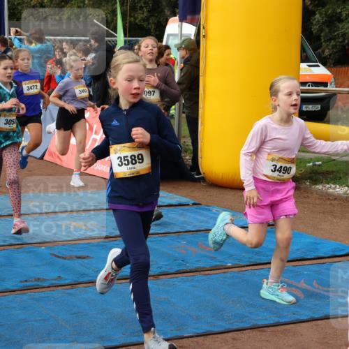 14.09.2025 - Airport Race Strokosch-Dieckow http://msf.ph/oto/8884418 14.09.2025 10:29:10 Ziel 3027, 3058, 3064, 3066, 3097, 3114, 3116, 3118, 3128, 3152, 3201, 3202, 3214, 3221, 3231, 3235, 3462, 3472, 3475, 3479, 3490, 3554, 3562, 3589, 3724, 3733 meine-sportfotos.de