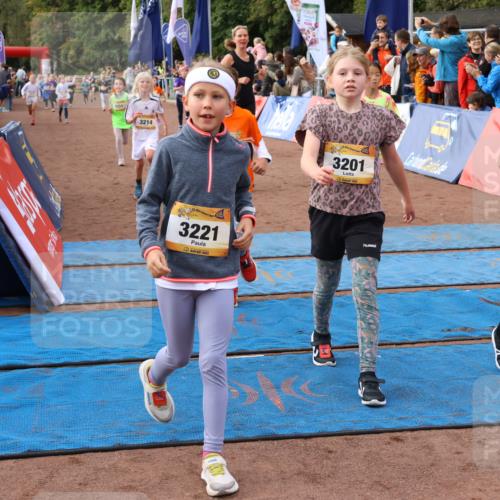 14.09.2025 - Airport Race Strokosch-Dieckow http://msf.ph/oto/8884568 14.09.2025 10:29:14 Ziel 3027, 3039, 3058, 3064, 3066, 3097, 3113, 3114, 3128, 3201, 3214, 3215, 3221, 3235, 3462, 3472, 3554, 3562, 3733 meine-sportfotos.de