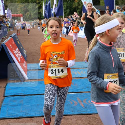 14.09.2025 - Airport Race Strokosch-Dieckow http://msf.ph/oto/8884657 14.09.2025 10:29:15 Ziel 3027, 3039, 3064, 3066, 3113, 3114, 3128, 3201, 3214, 3215, 3221, 3235, 3462, 3472, 3496, 3554, 3562, 3733 meine-sportfotos.de