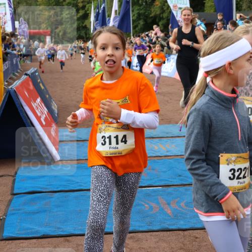 14.09.2025 - Airport Race Strokosch-Dieckow http://msf.ph/oto/8884688 14.09.2025 10:29:15 Ziel 3027, 3039, 3064, 3066, 3113, 3114, 3128, 3201, 3214, 3215, 3221, 3235, 3462, 3472, 3496, 3554, 3562, 3733 meine-sportfotos.de