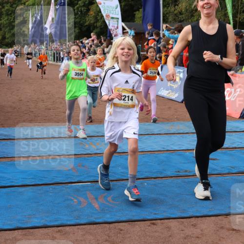 14.09.2025 - Airport Race Strokosch-Dieckow http://msf.ph/oto/8884792 14.09.2025 10:29:17 Ziel 3027, 3039, 3064, 3066, 3077, 3096, 3113, 3114, 3128, 3194, 3214, 3215, 3221, 3235, 3496, 3554, 3562, 3733 meine-sportfotos.de