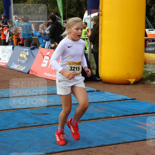 14.09.2025 - Airport Race Strokosch-Dieckow http://msf.ph/oto/8884946 14.09.2025 10:29:21 Ziel 3039, 3064, 3077, 3096, 3113, 3125, 3128, 3194, 3213, 3215, 3391, 3496, 3554, 3555, 3562, 3720, 3729, 3733 meine-sportfotos.de