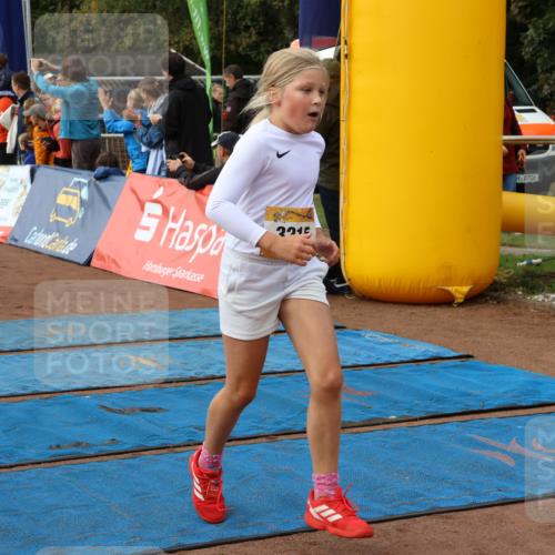 14.09.2025 - Airport Race Strokosch-Dieckow http://msf.ph/oto/8884979 14.09.2025 10:29:21 Ziel 3039, 3064, 3077, 3096, 3113, 3125, 3128, 3194, 3213, 3215, 3391, 3496, 3554, 3555, 3562, 3720, 3729, 3733 meine-sportfotos.de